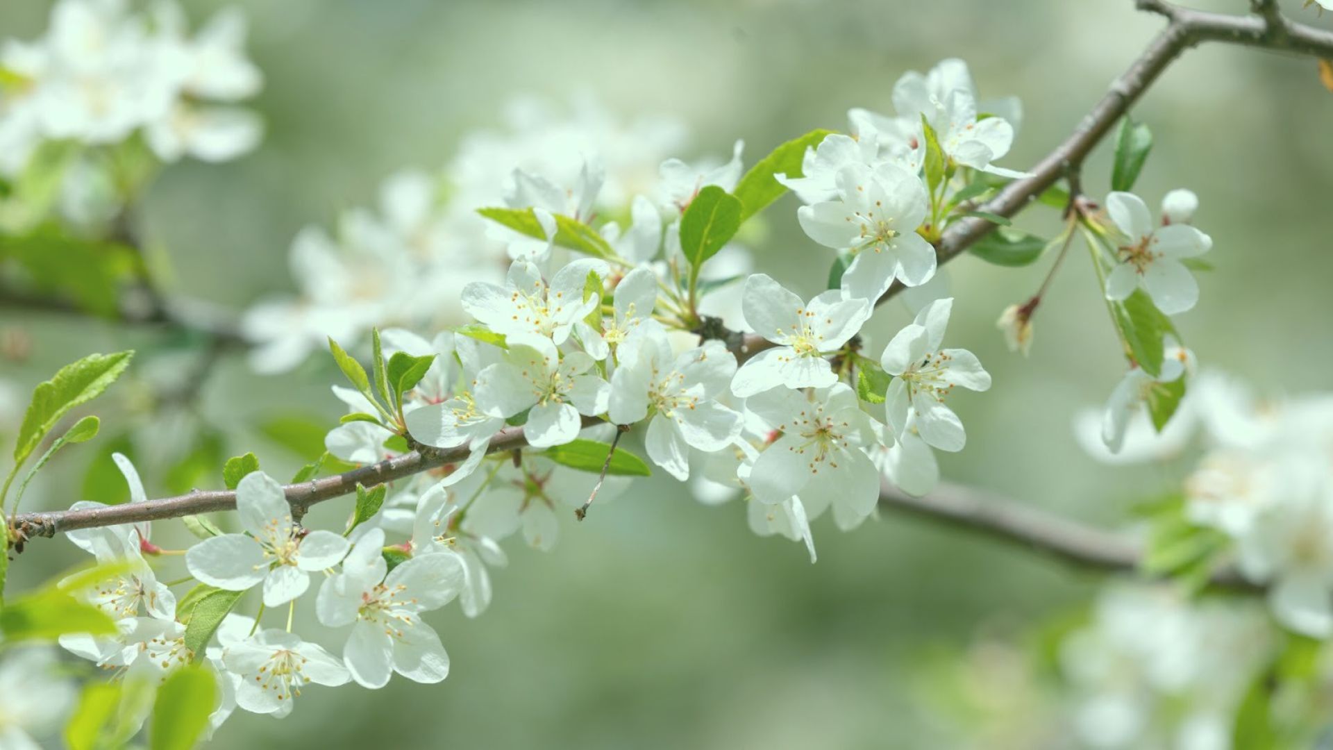 894-Billeder i mails og artikler (1920 × 1080px) - 2024-03-05T113151.079.jpg