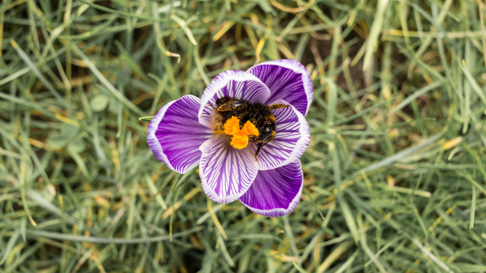 895-Billeder i mails og artikler (1920 × 1080px) (57).jpg