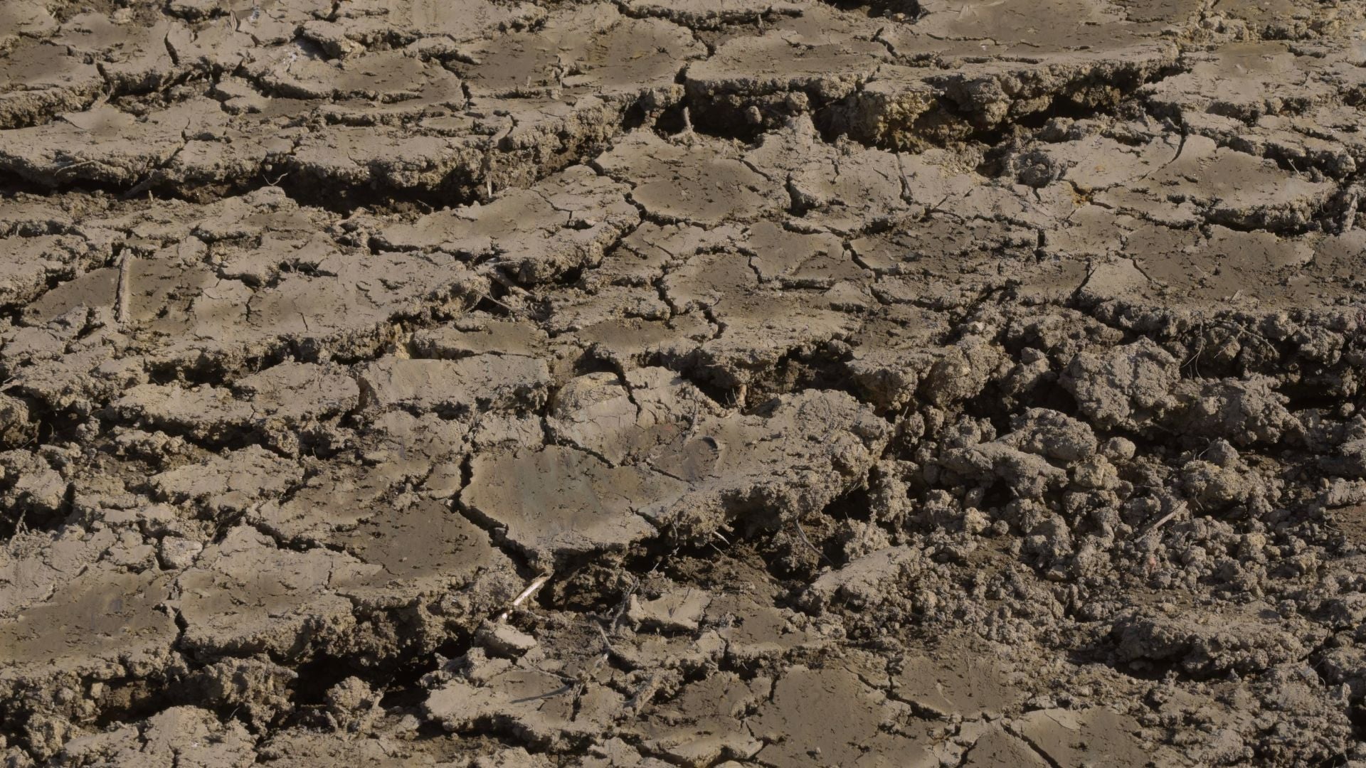 896-Billeder i mails og artikler (1920 × 1080px) (40).jpg