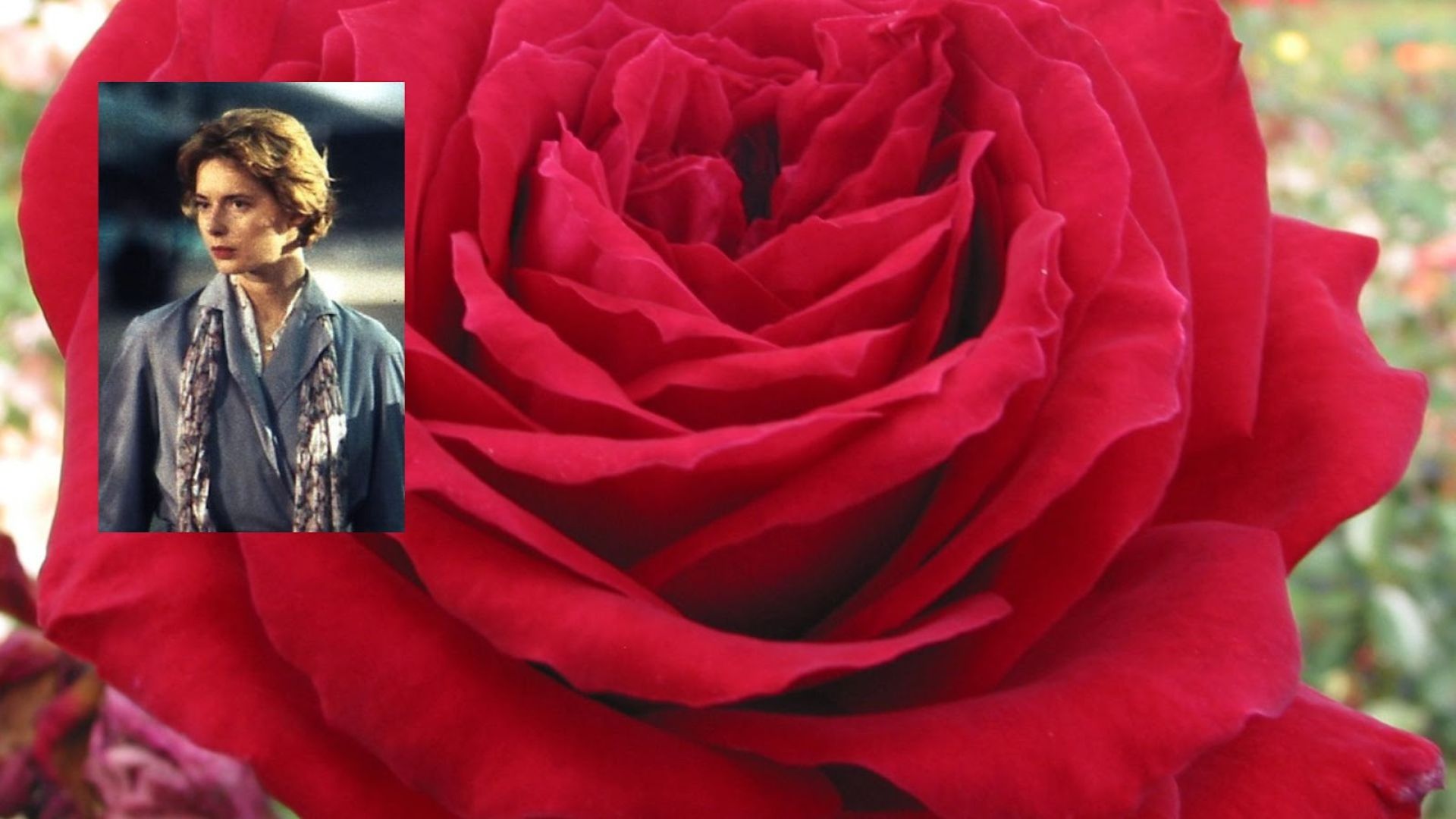 896-Billeder i mails og artikler (1920 × 1080px) (9).jpg