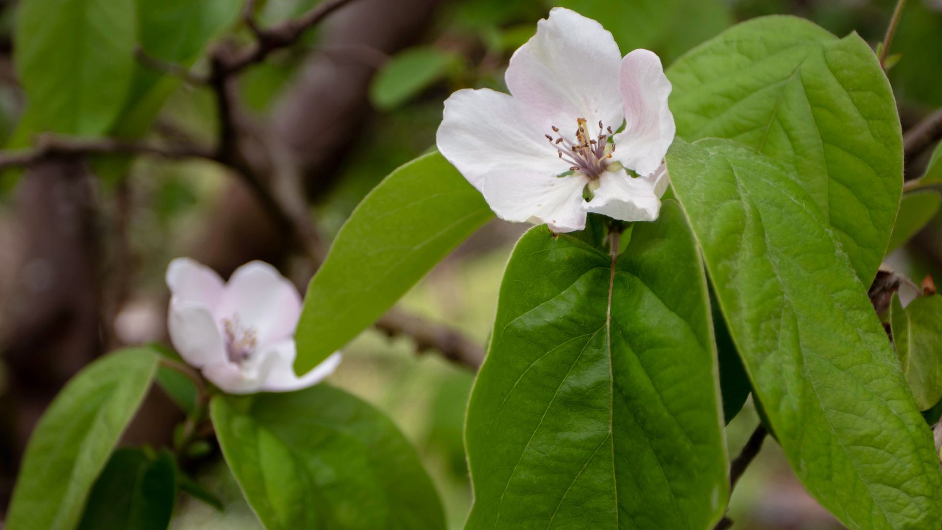 906-Billeder i mails og artikler (1920 × 1080px) - 2024-01-25T125000.848.jpg