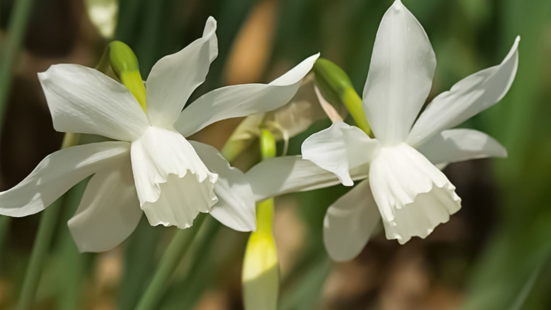 908-Billeder i mails og artikler (1920 × 1080px) - 2023-11-08T082416.412.jpg