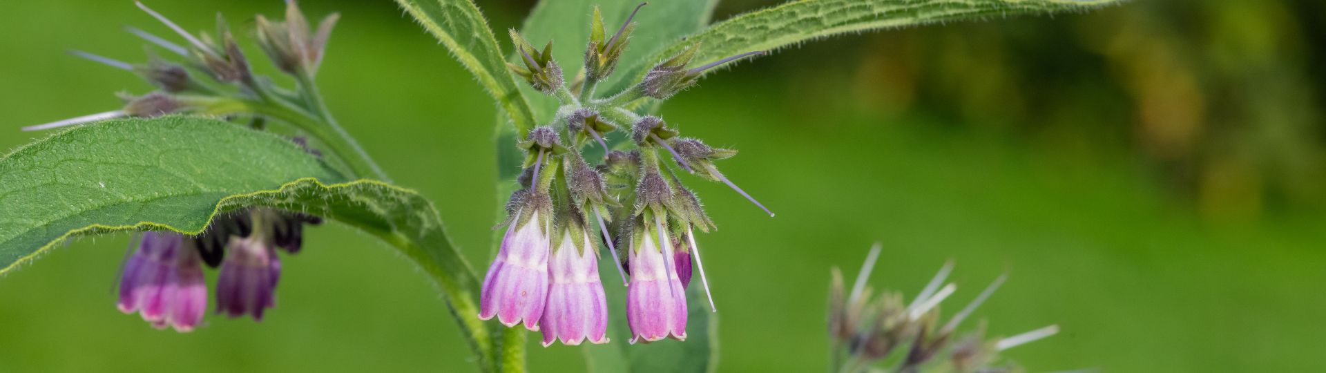 908-til lister (1920 × 540px) - 2024-03-27T162830.399.jpg