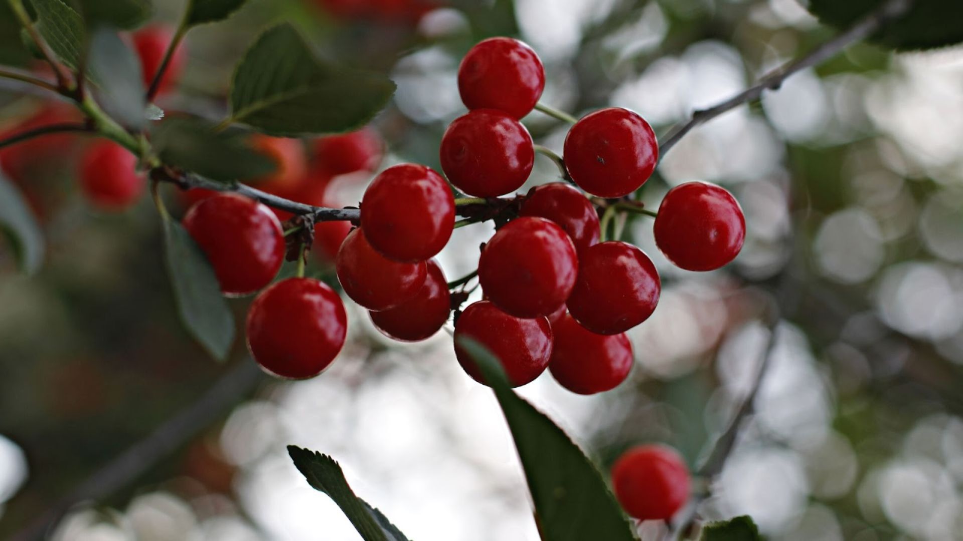 911-Billeder i mails og artikler (1920 × 1080px) (7).jpg