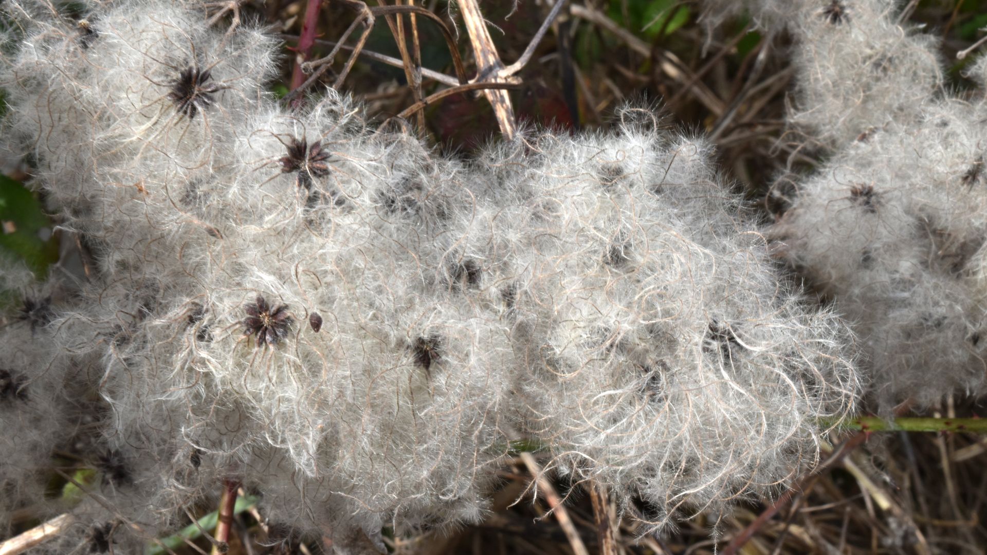 911-Billeder i mails og artikler (1920 × 1080px) - 2023-10-30T093841.341.jpg