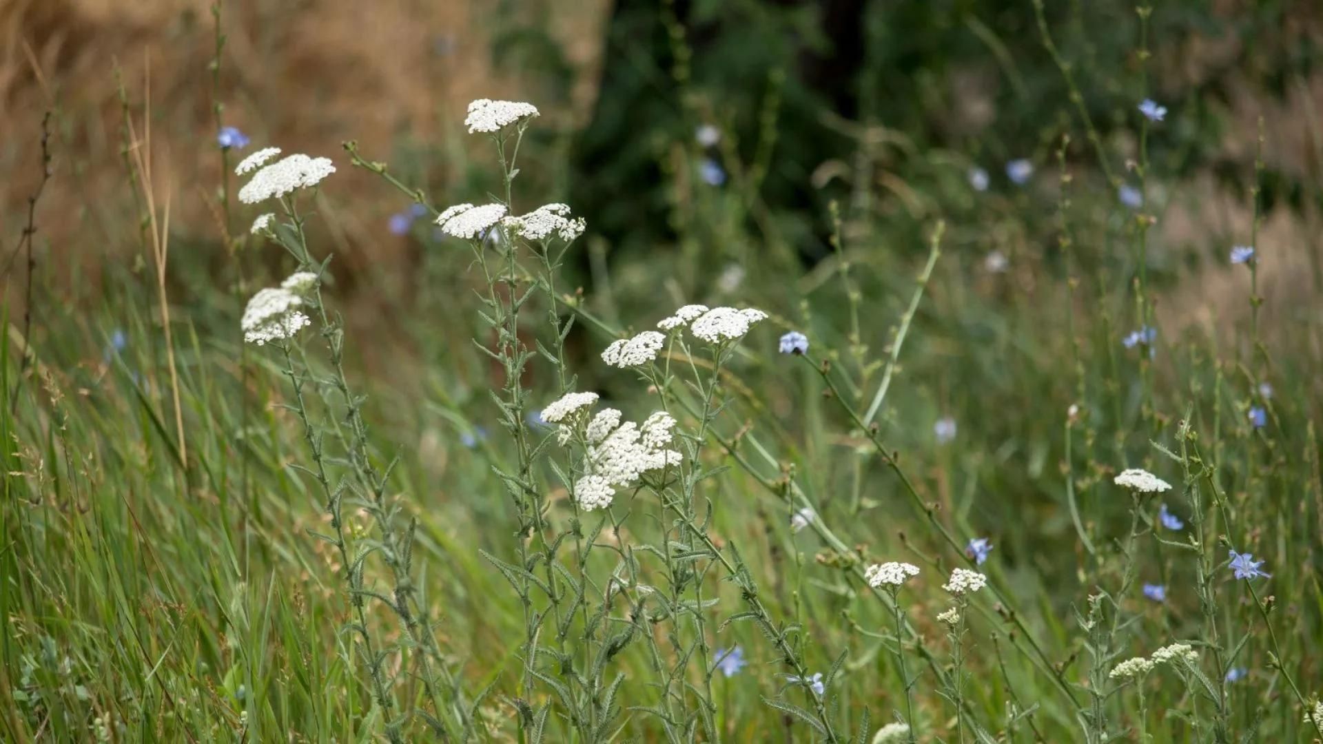 916-Billeder i mails og artikler (1920 × 1080px) (51).jpg