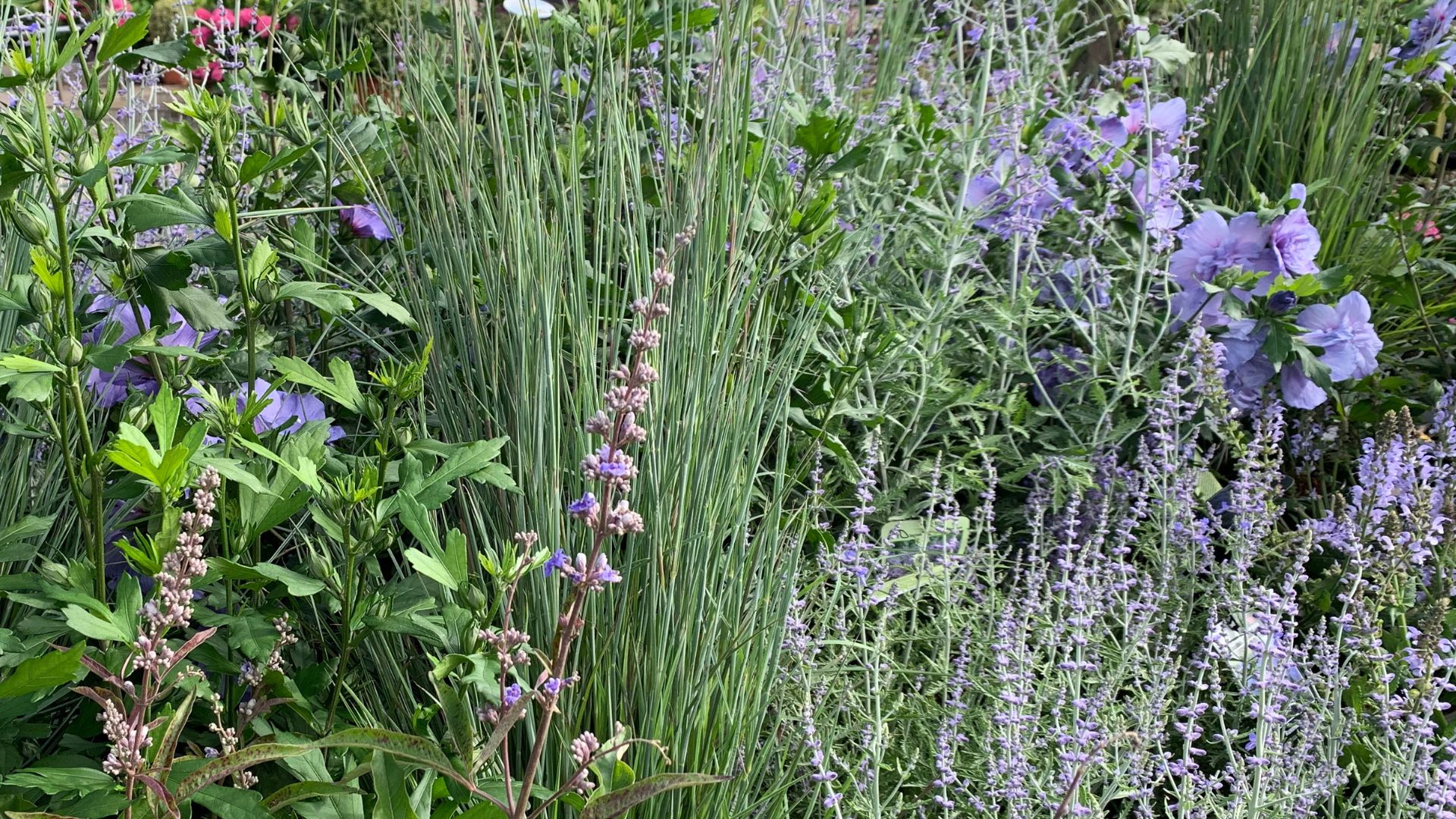 919-Billeder i mails og artikler (1920 × 1080px) - 2023-07-18T122712.245.jpg