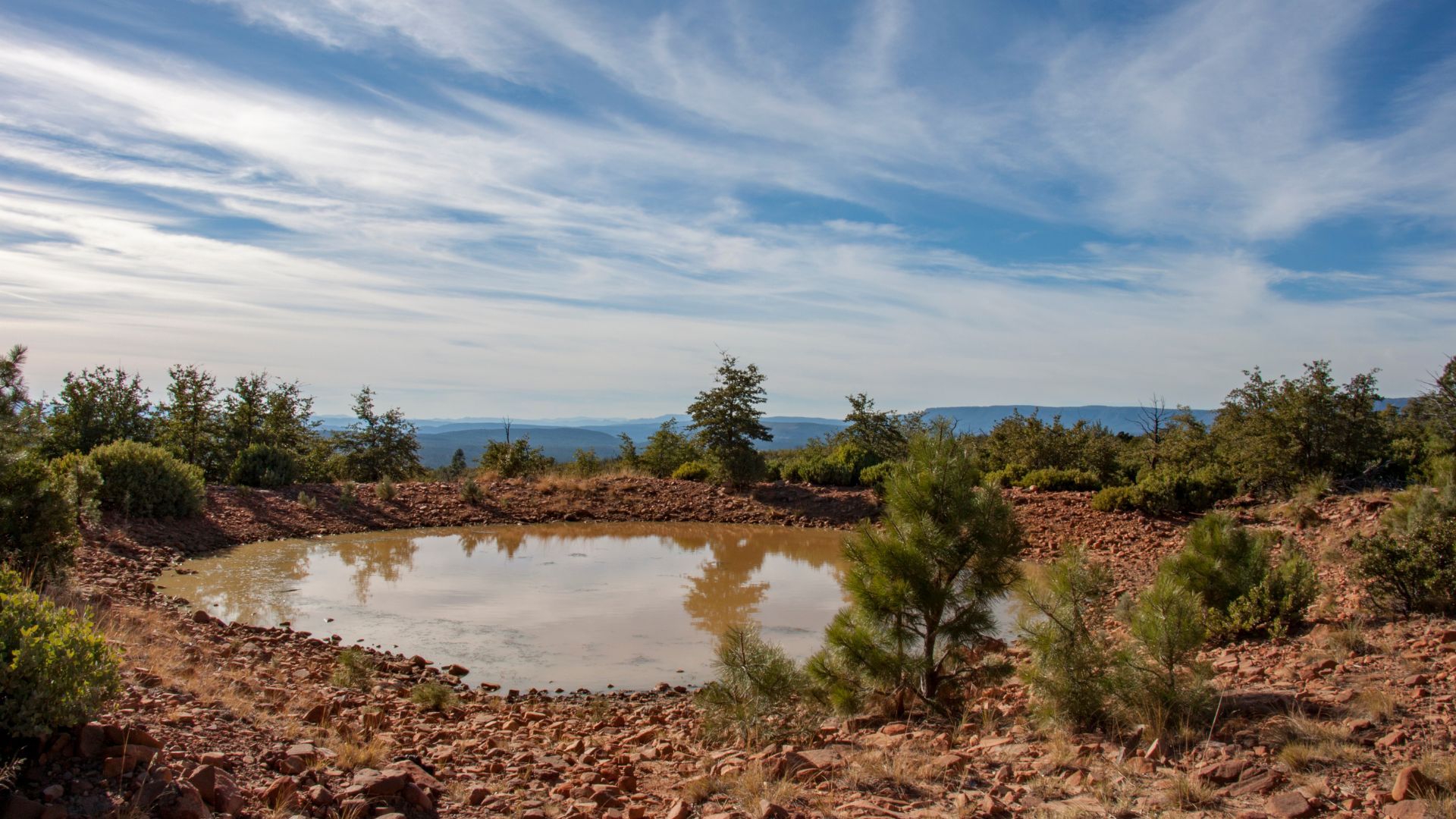 921-Billeder i mails og artikler (1920 × 1080px) (12).jpg