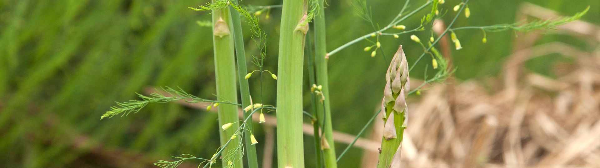 93-til lister (1920 × 540px) - 2024-03-26T131819.396.jpg