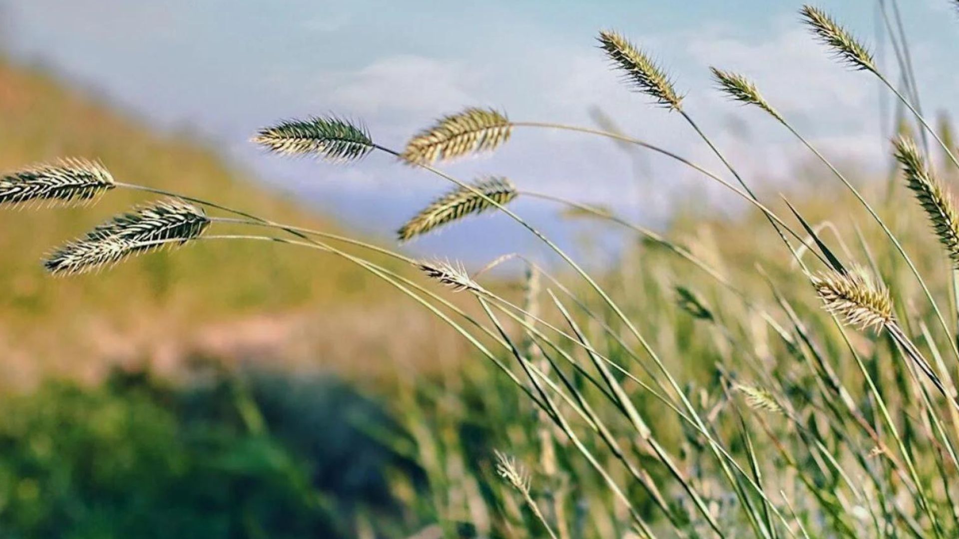 934-Billeder i mails og artikler (1920 × 1080px) - 2023-11-07T120636.806.jpg