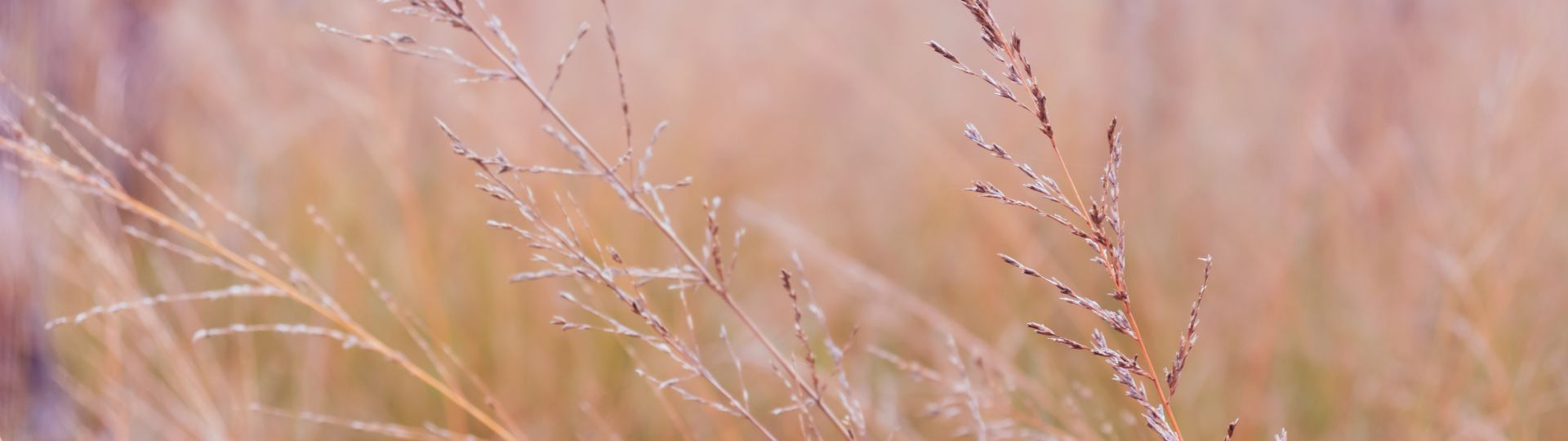 936-til lister (1920 × 540px) (11).jpg