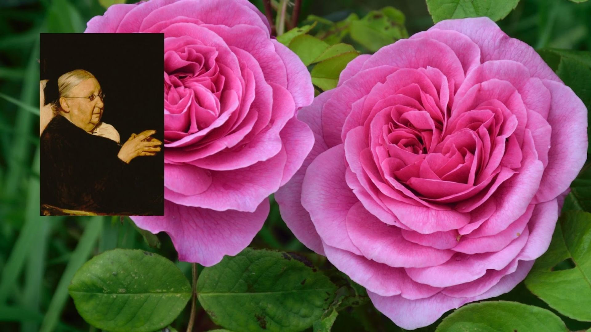 939-Billeder i mails og artikler (1920 × 1080px) (21).jpg