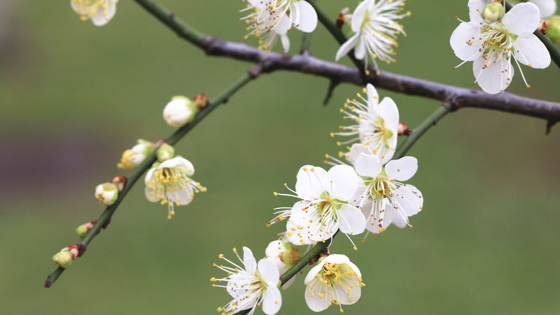 939-Billeder i mails og artikler (1920 × 1080px) - 2024-02-07T132830.922.jpg