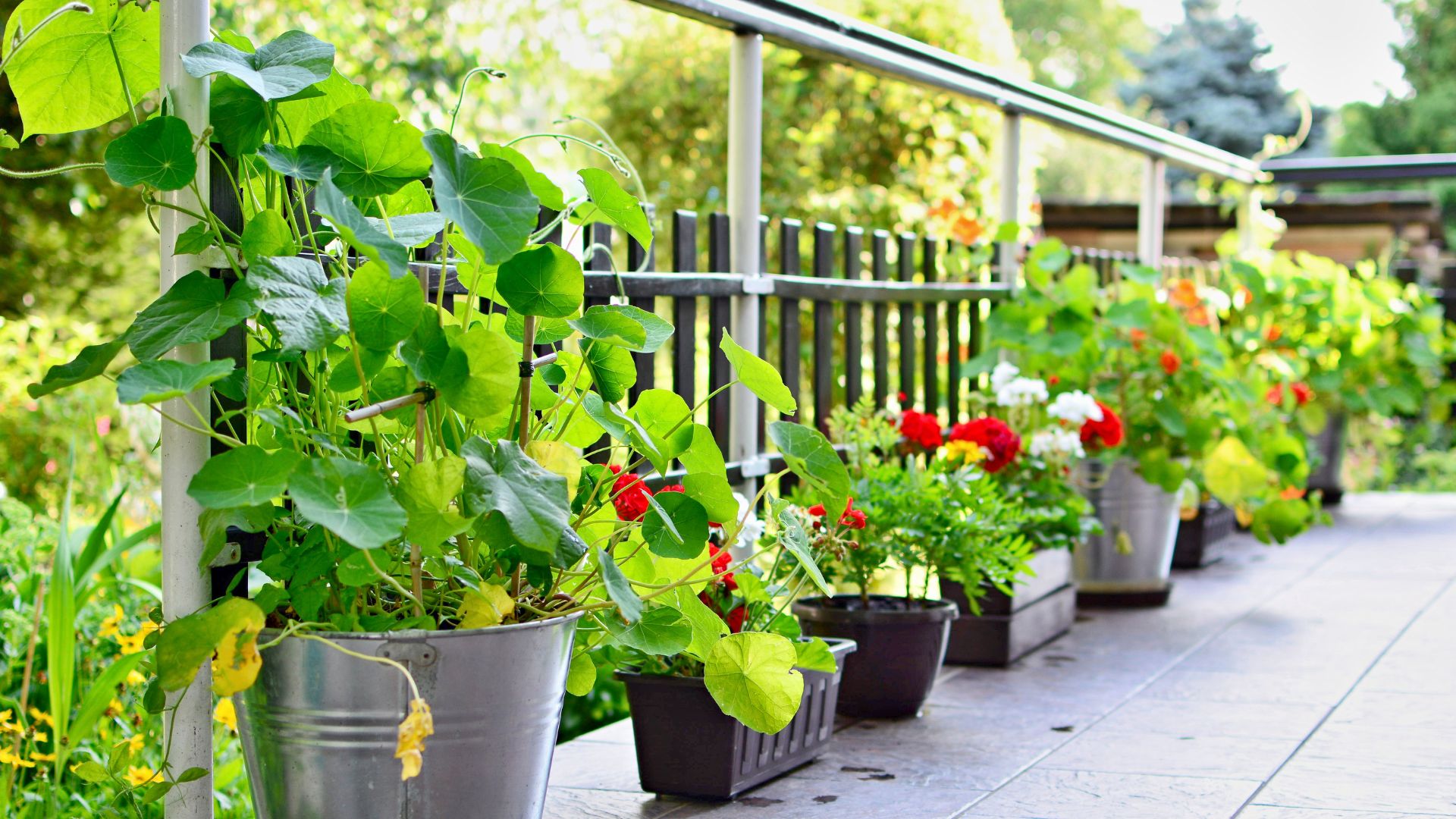 95-Billeder i mails og artikler (1920 × 1080px) (86).jpg