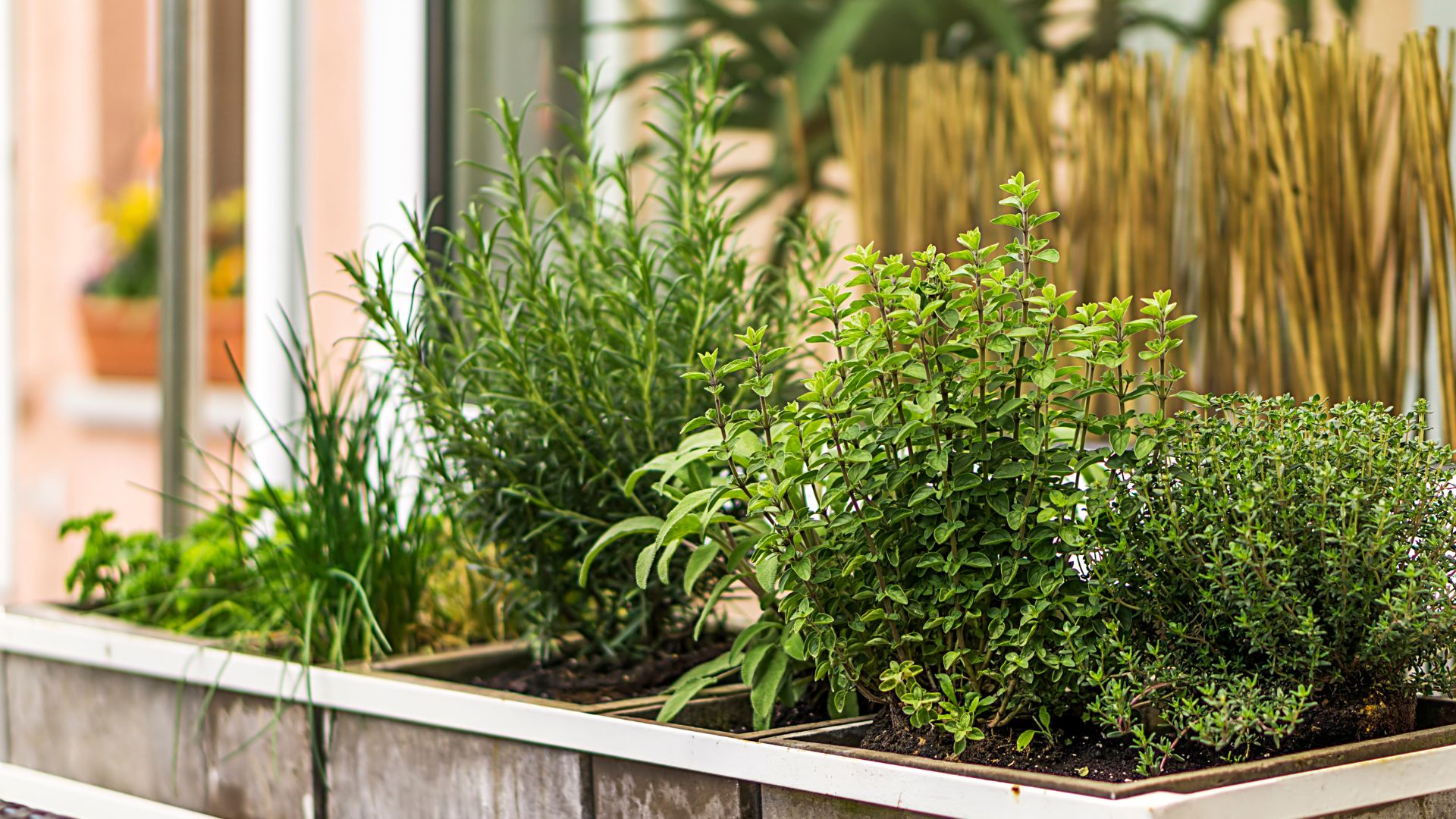 958-Billeder i mails og artikler (1920 × 1080px) (13).jpg