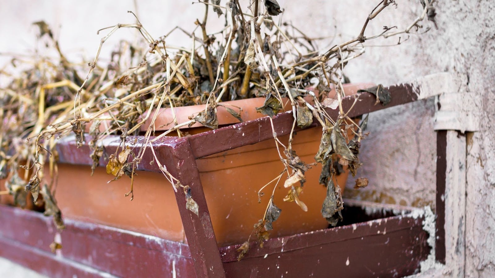 968-Billeder i mails og artikler (1920 × 1080px) (40) (1).jpg