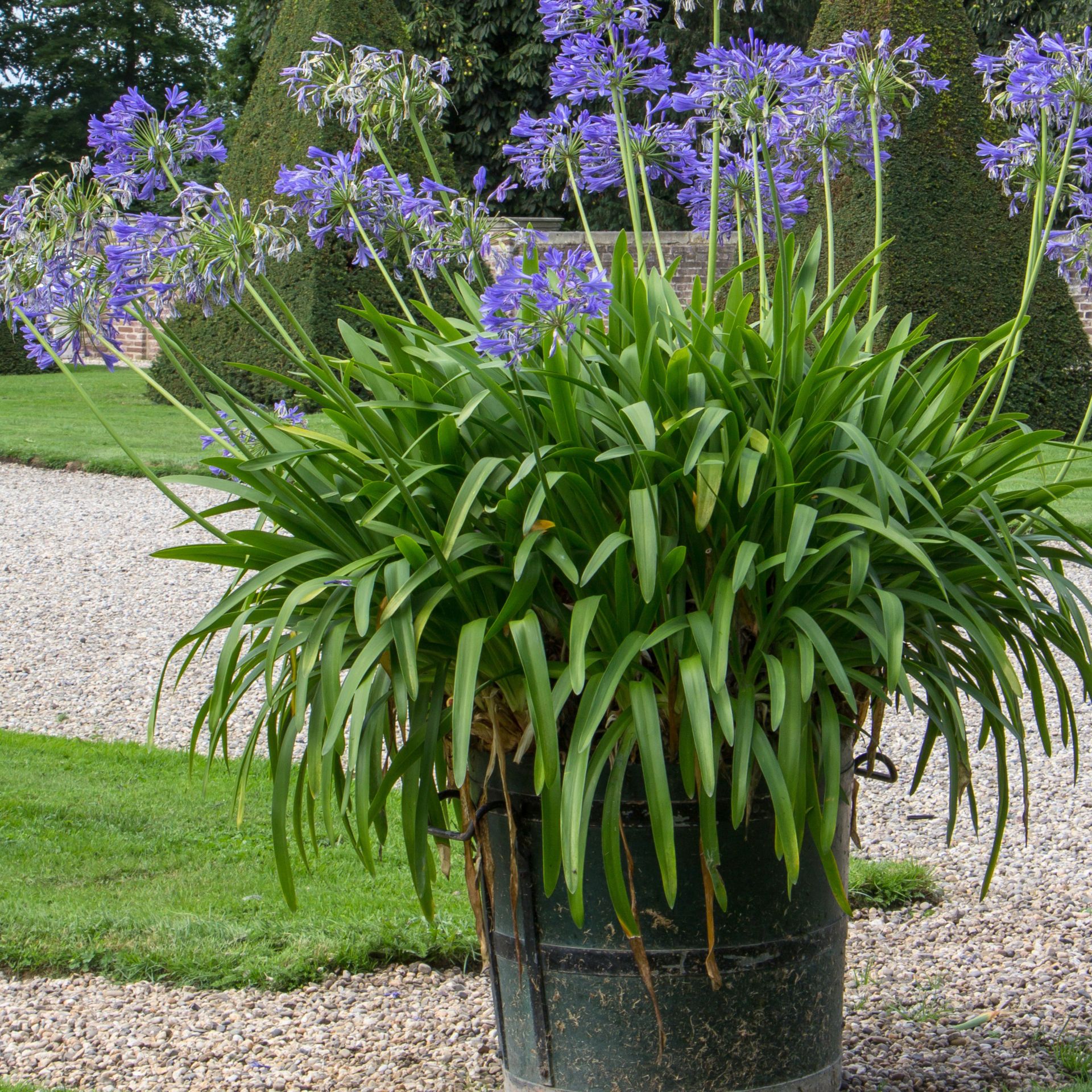 972-Unavngivet (1920 × 1920px) (1).jpg