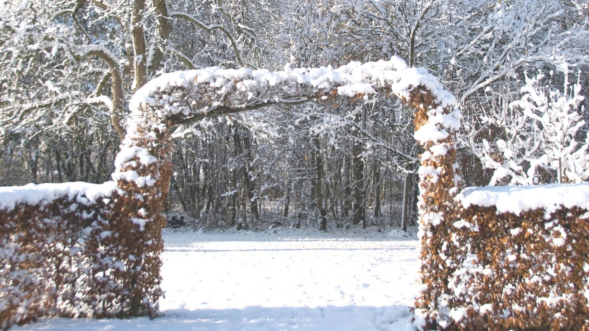 973-Billeder i mails og artikler (1920 × 1080px) (11).jpg