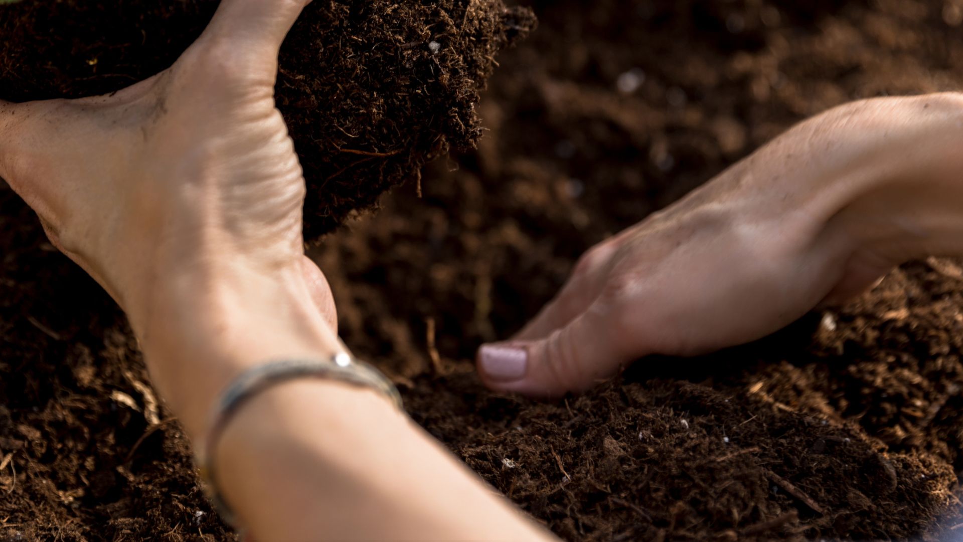 974-Billeder i mails og artikler (1920 × 1080px) (12).jpg