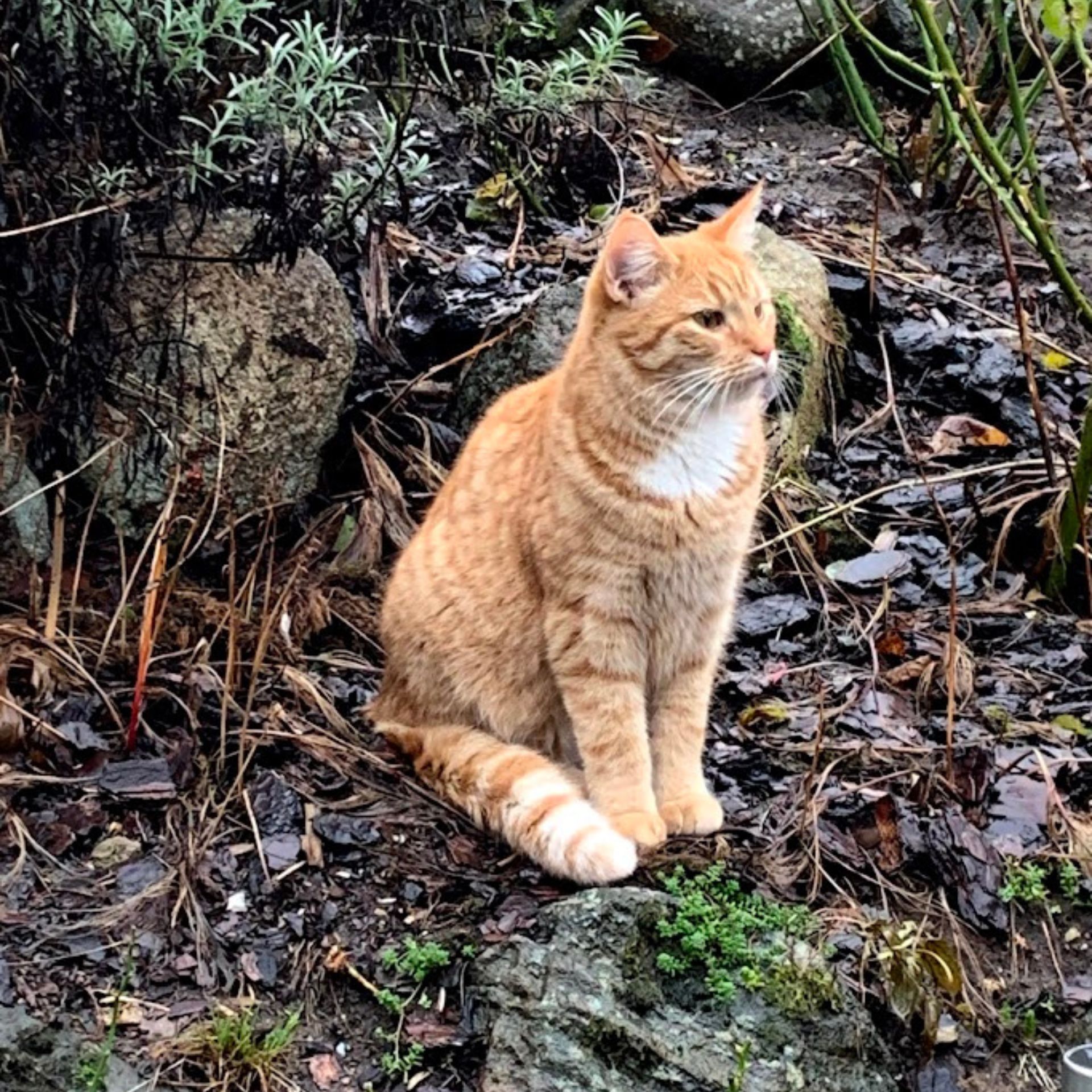 976-Unavngivet (1920 × 1920px) (5).jpg