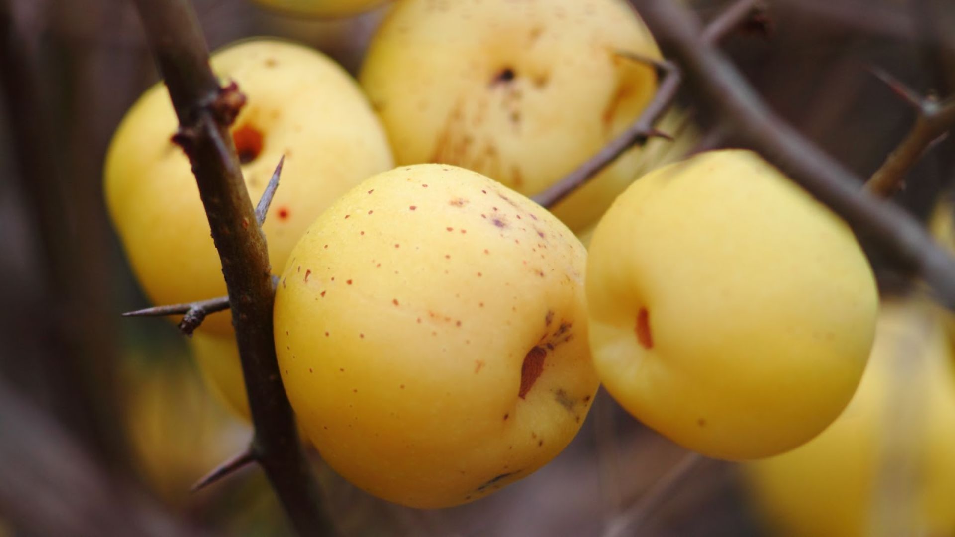 98-Billeder i mails og artikler (1920 × 1080px) (11).jpg