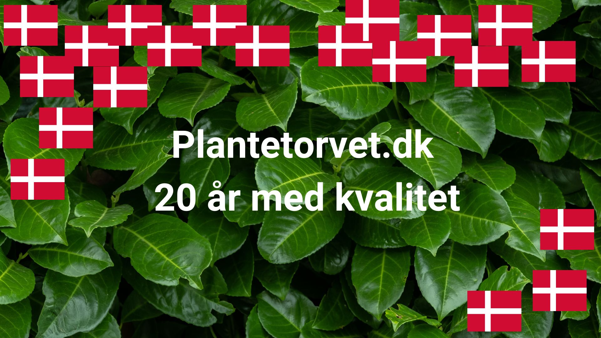 981-Billeder i mails og artikler (1920 × 1080px) (18).jpg