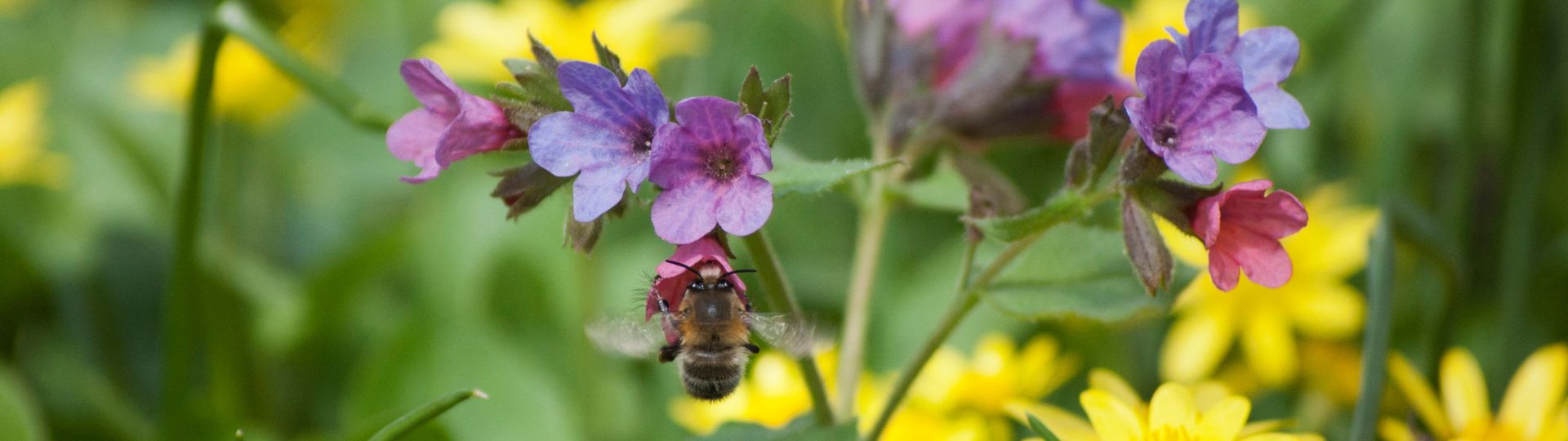 986-til lister (1920 × 540px) (13).jpg