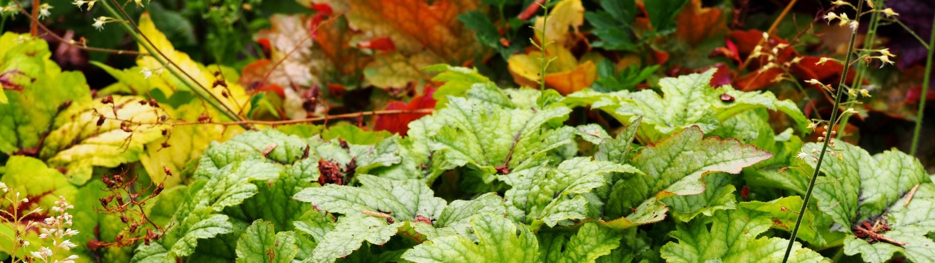 991-til lister (1920 × 540px) (11).jpg