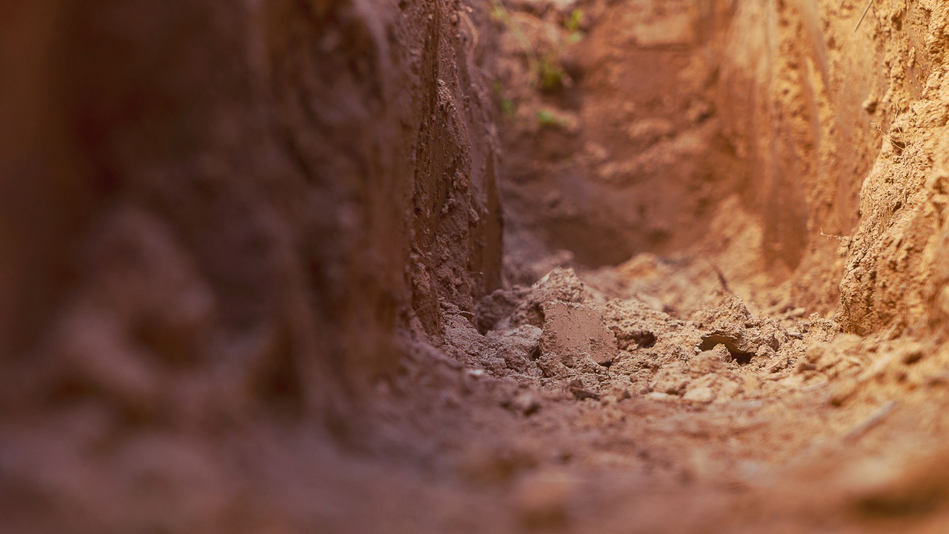 998-Billeder i mails og artikler (1920 × 1080px) - 2024-01-24T110553.253.jpg