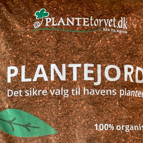 20 år med Plantetorvet.dk, hvor er vi nu!