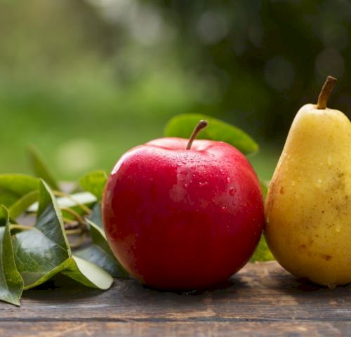 Top 20 - de mest populære fra frugthaven