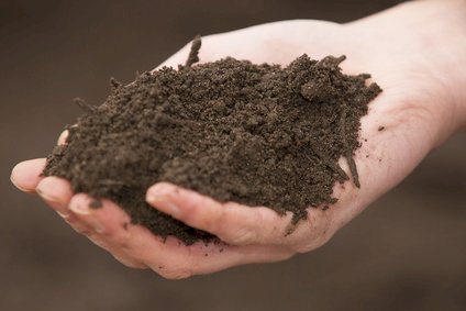 Kompost og konstruktiv jordforbedring