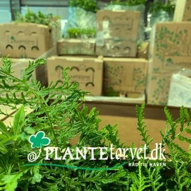 N&aring;r du skal k&oslash;be stort ind til haven