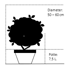 Potte 7,5 liter 50-60 cm. diameter