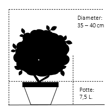 Potte 7,5 liter 35-40 cm. diameter
