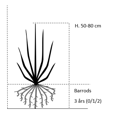 Barrods,- 3 års (0/1/2) 50-80 cm. 