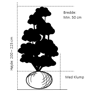 Med klump,- 200-225 cm. Bredde 50 cm. 