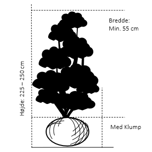 Med Klump, 225-250 cm. Bredde 55 cm.