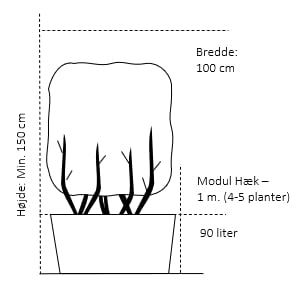 Modulhæk 1 m. (4-5 planter) - 90 liter min. 150 cm. høje