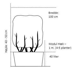 Modulhæk 1 m. (4-5 planter) - 40 liter 50-60 cm. høje 