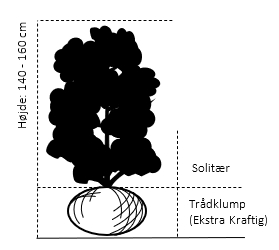 Trådklump 140-160 cm.