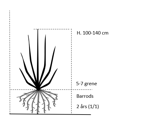 Barrods, 2 års (1/1) 100-140 cm.