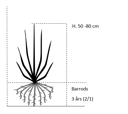 Barrods,- 3 års (2/1) 50-80 cm. 