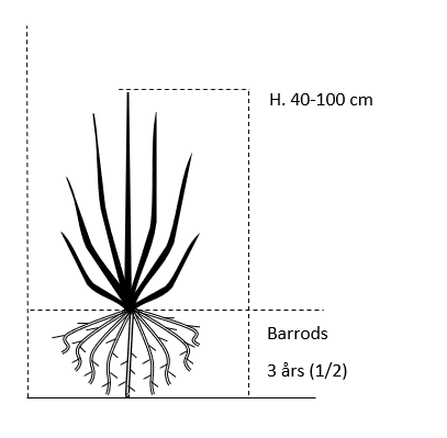 Barrods,- 3 års (1/2) 40-100 cm. 