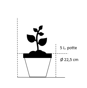 5 Liter potte