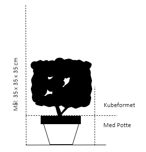 Kube,- 35x35x35 cm. med potte