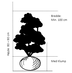 Med Klump, 80-90 cm. høj. min. 100 cm. bred.