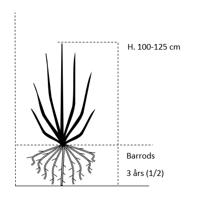 Barrods,- 3 års (1/2) 100-125 cm.