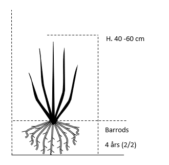 Barrods, 4 års (2/2) 40-60 cm.