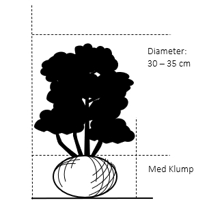 Med klump,- 30-35 cm. diameter